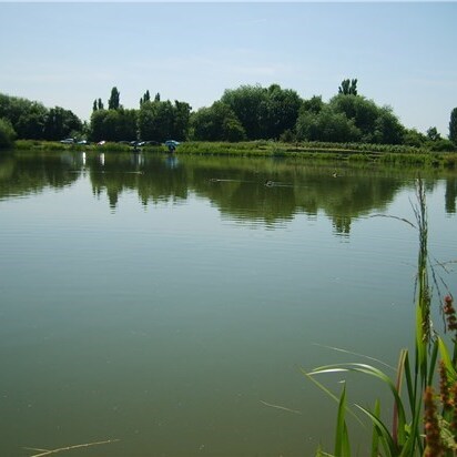 Sandhill Lake, Worksop